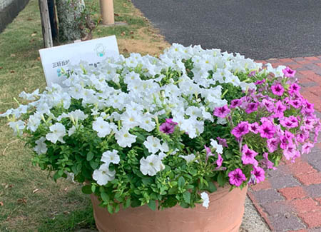 三好丘旭花植え愛好会