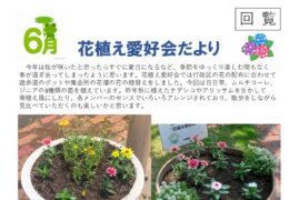 花植え愛好会だより_6月のサムネイル