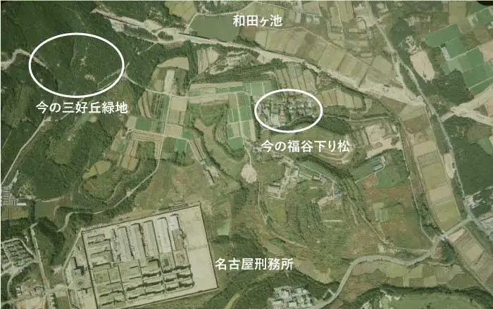 国土地理院写真_昔の三好丘旭